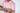 Wearing the West Palm Polo: Dolphin Tail Pink, featuring a bespoke English spread collar, someone reveals embroidered initials JN on the right sleeve. Crafted from luxury performance fabric, the pink polos elegance is emphasized against a plain white background.